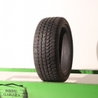 Bridgestone Blizzak LM-25