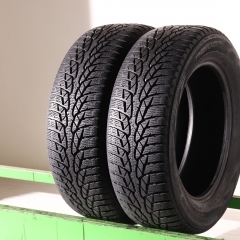 Nokian WR D4