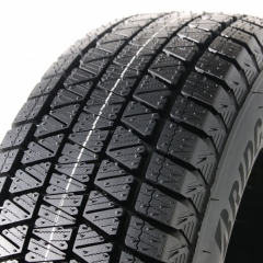 Bridgestone DM-V3 (DOT2023)