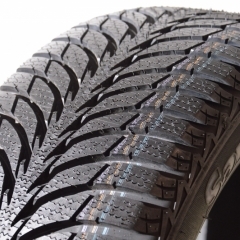 Sava Eskimo Ice DEMO TYRE