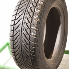 Goodyear UltraGrip Performance 2