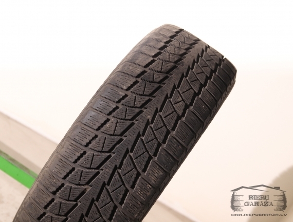 Bridgestone Blizzak Nordic WN-01