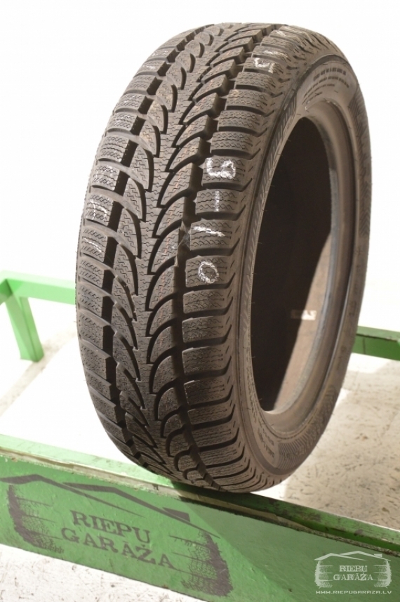 Nokian WR