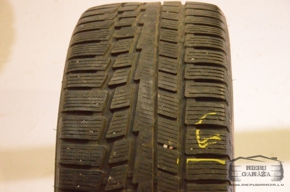 Nokian WR G2